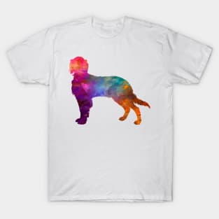 Picardy Spaniel in watercolor T-Shirt